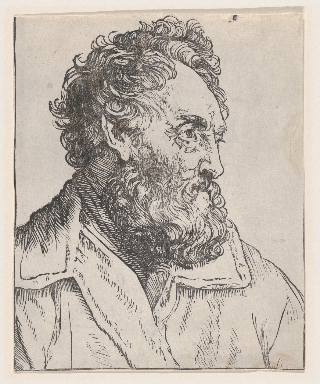 Testa di un uomo, XVII secolo da Jan Lievens