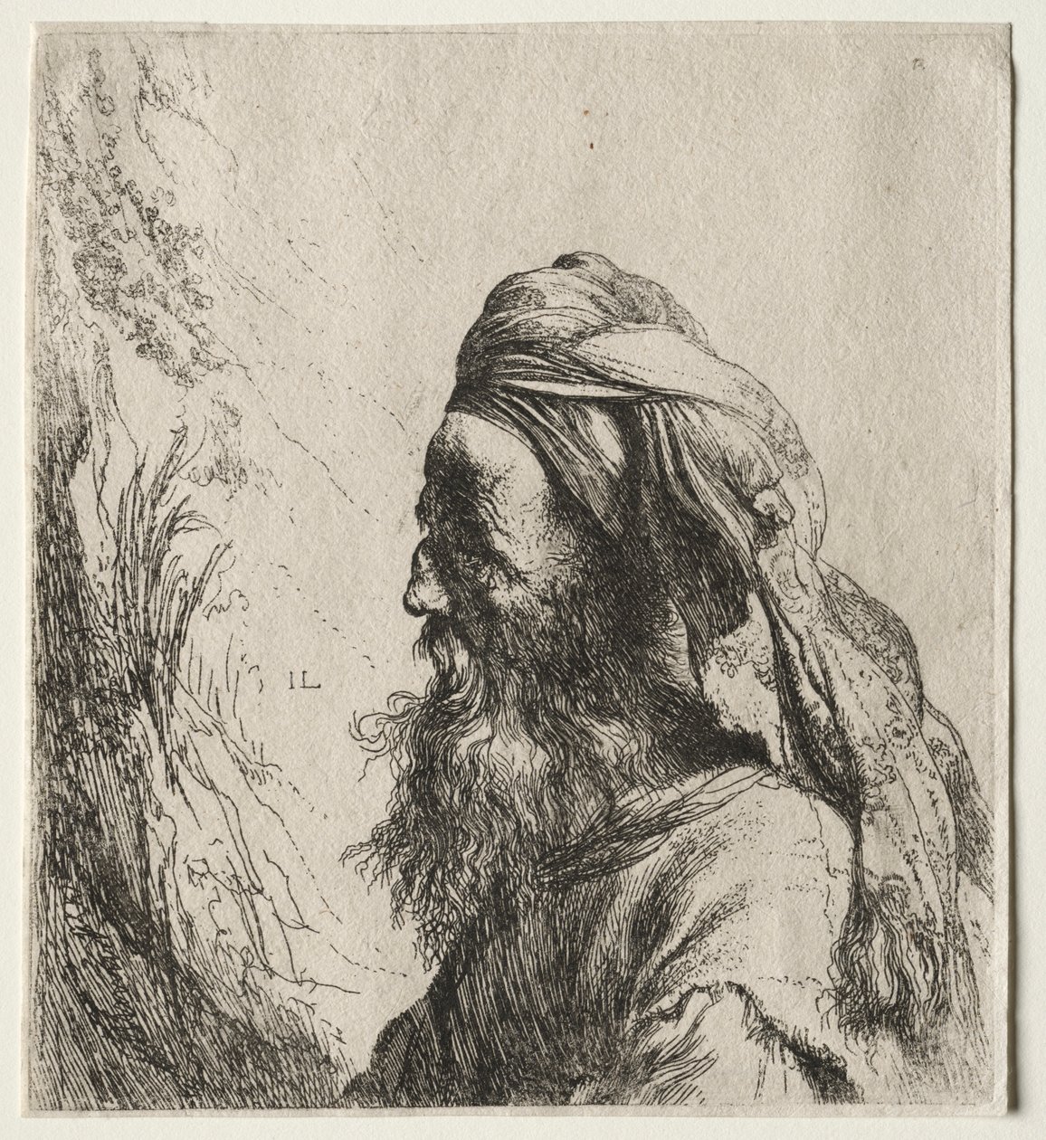 Testa di un orientale da Jan Lievens