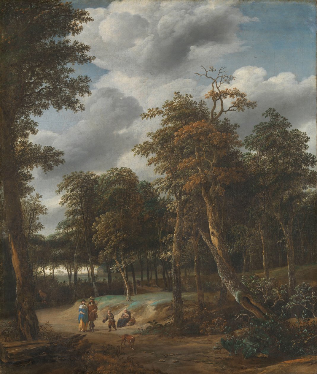 Strada forestale da Jan Looten