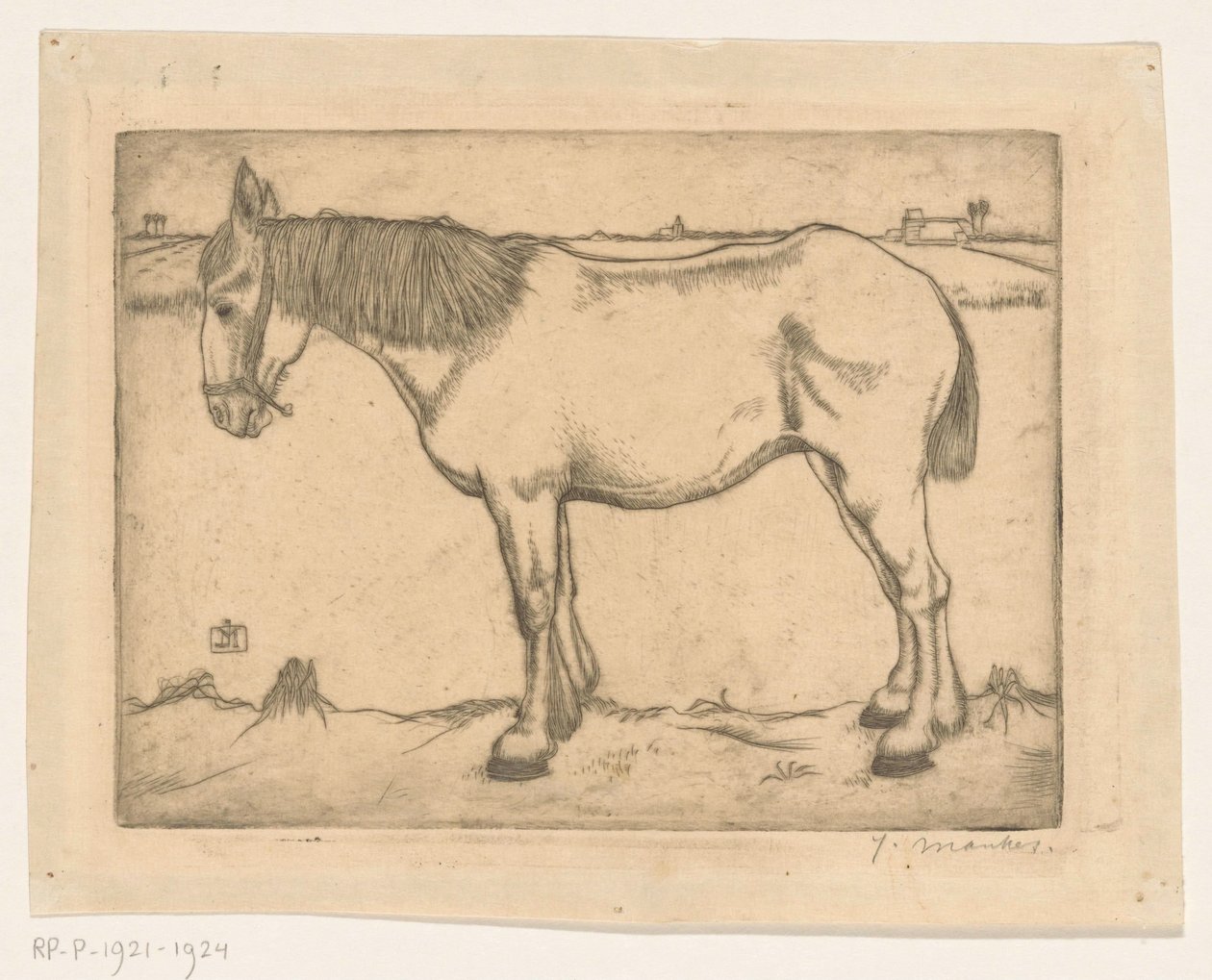 Cavallo da Jan Mankes (signed by artist)