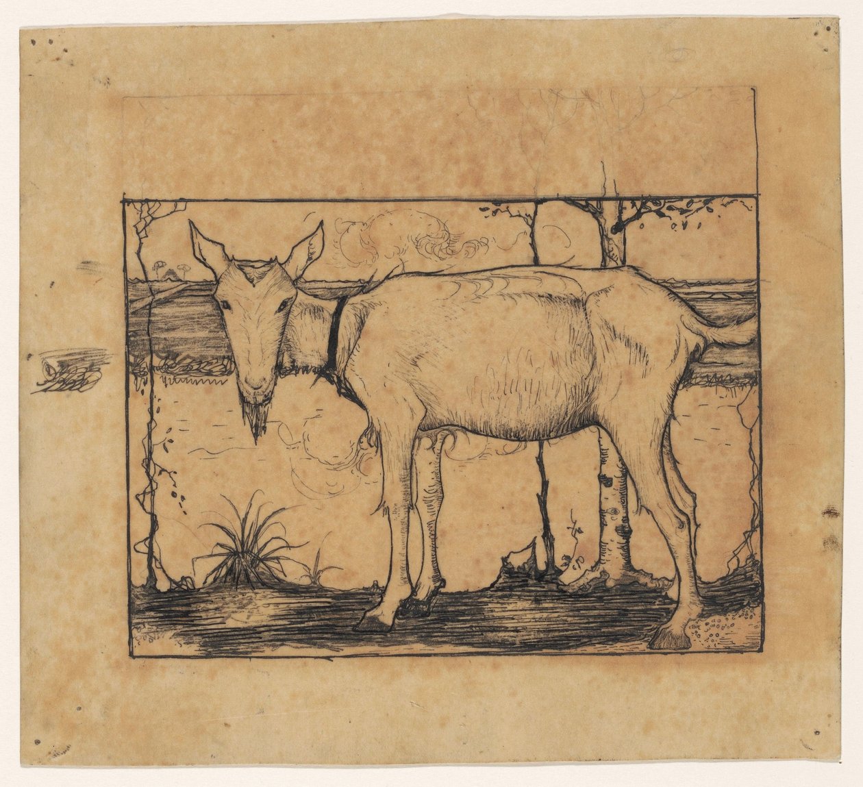 Capra sul bordo del fossato da Jan Mankes