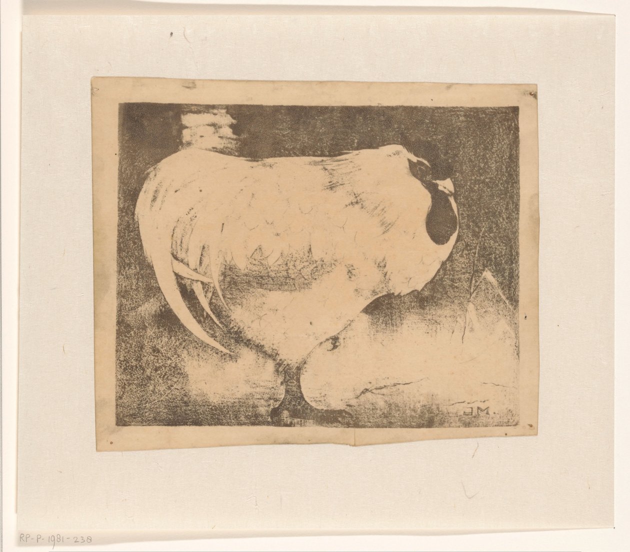 Gallo rannicchiato da Jan Mankes