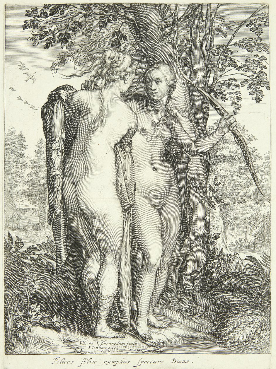 Diana e una ninfa presso un albero da Jan Saenredam