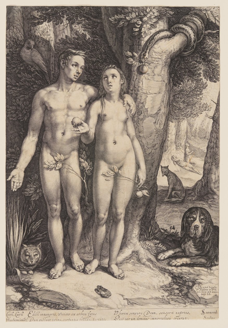 La tentazione dell