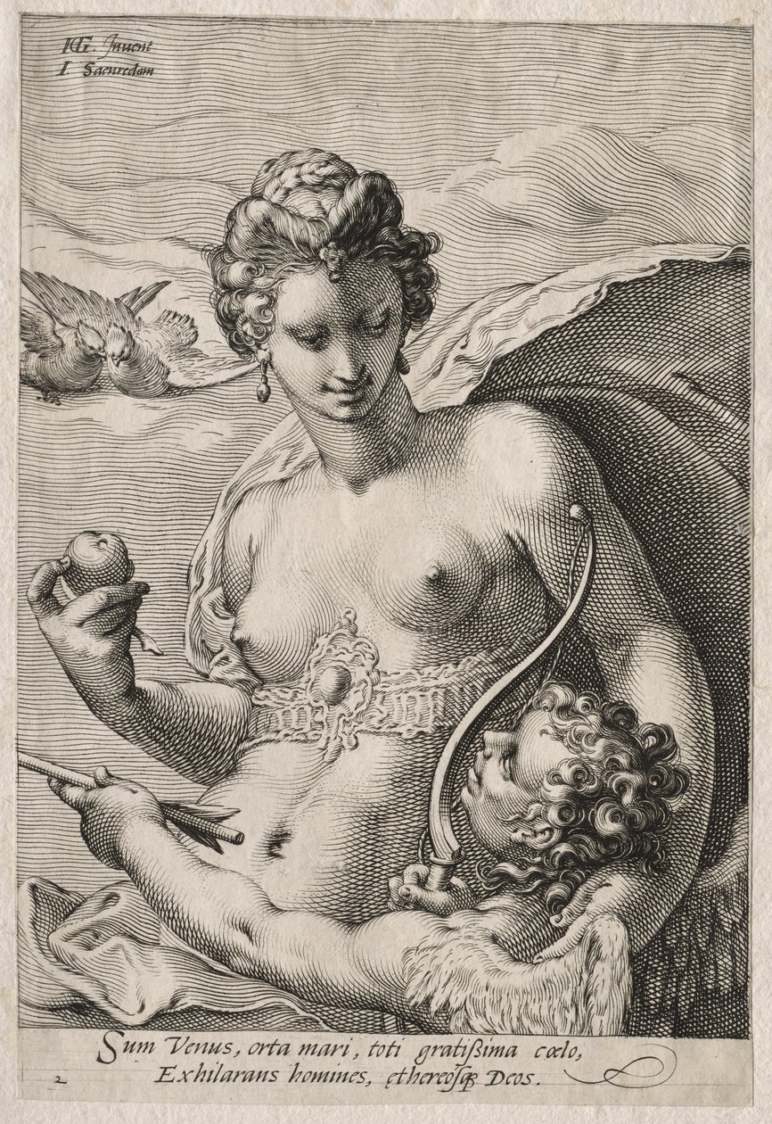 Venere e Cupido da Jan Saenredam