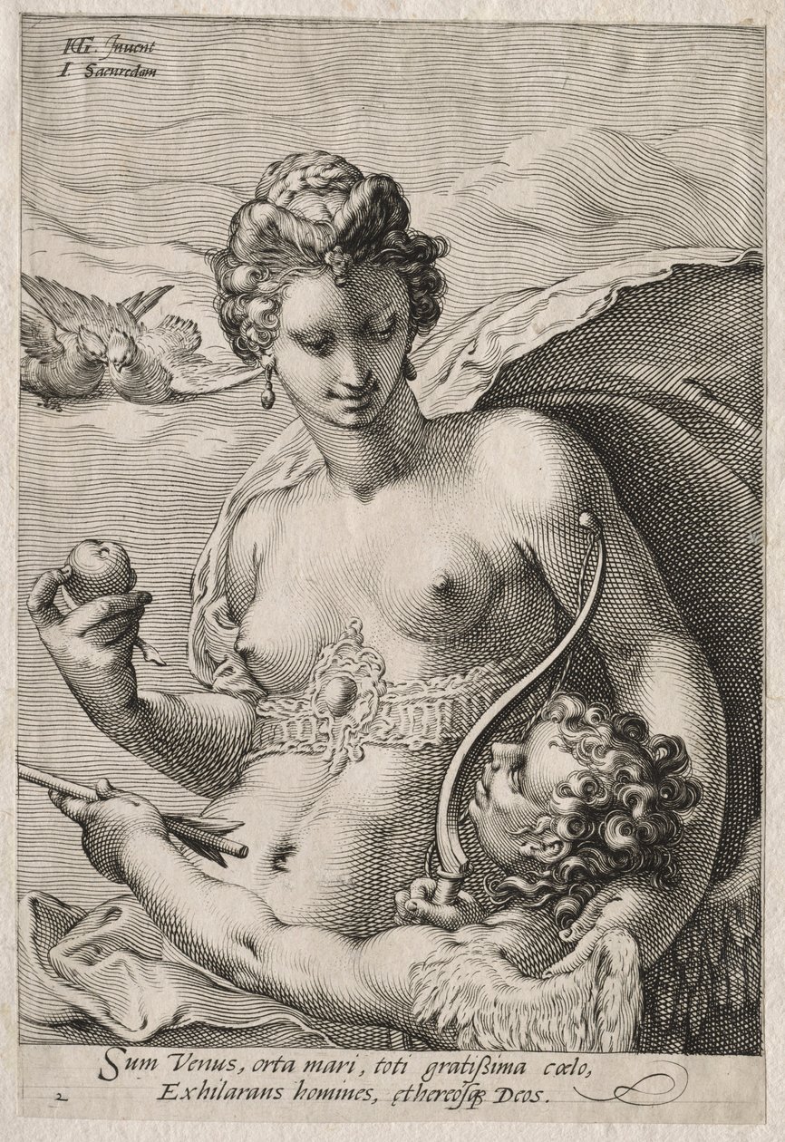 Venere e Cupido, c. 1595 da Jan Saenredam
