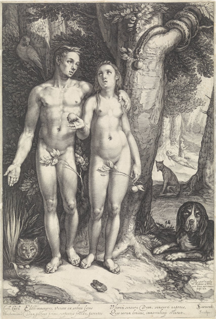 La caduta dell