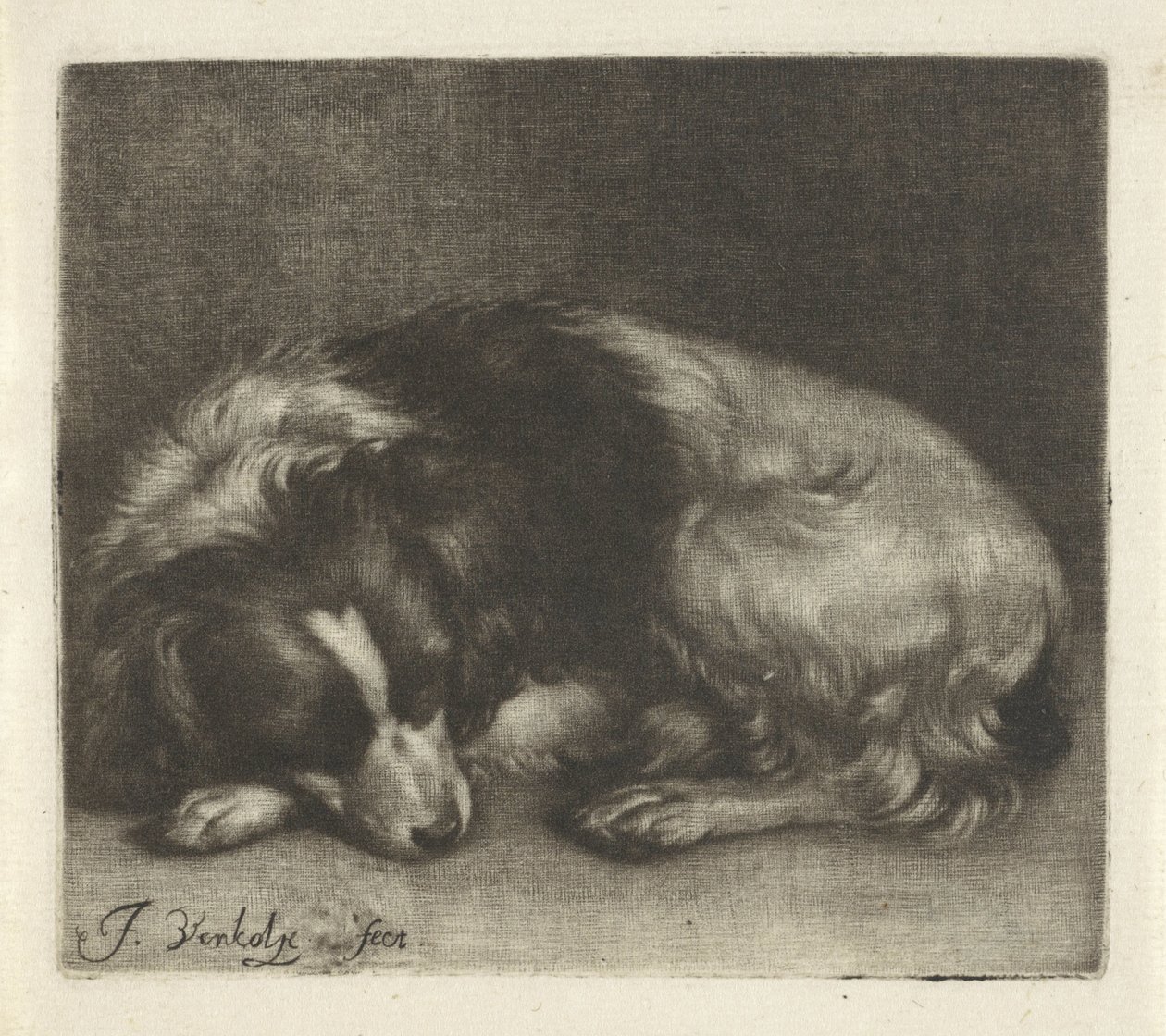 Cane addormentato, probabilmente uno spaniel da Jan Verkolje (I)