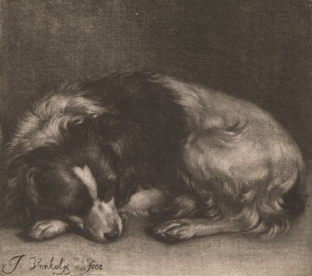 Un Cane che Dorme da Jan Verkolje