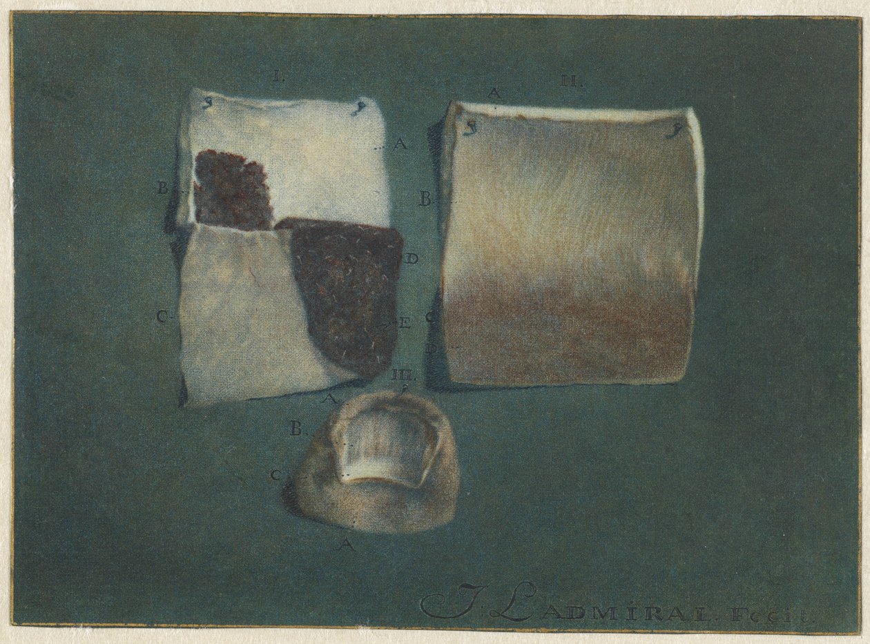 Studio anatomico della pelle e dell
