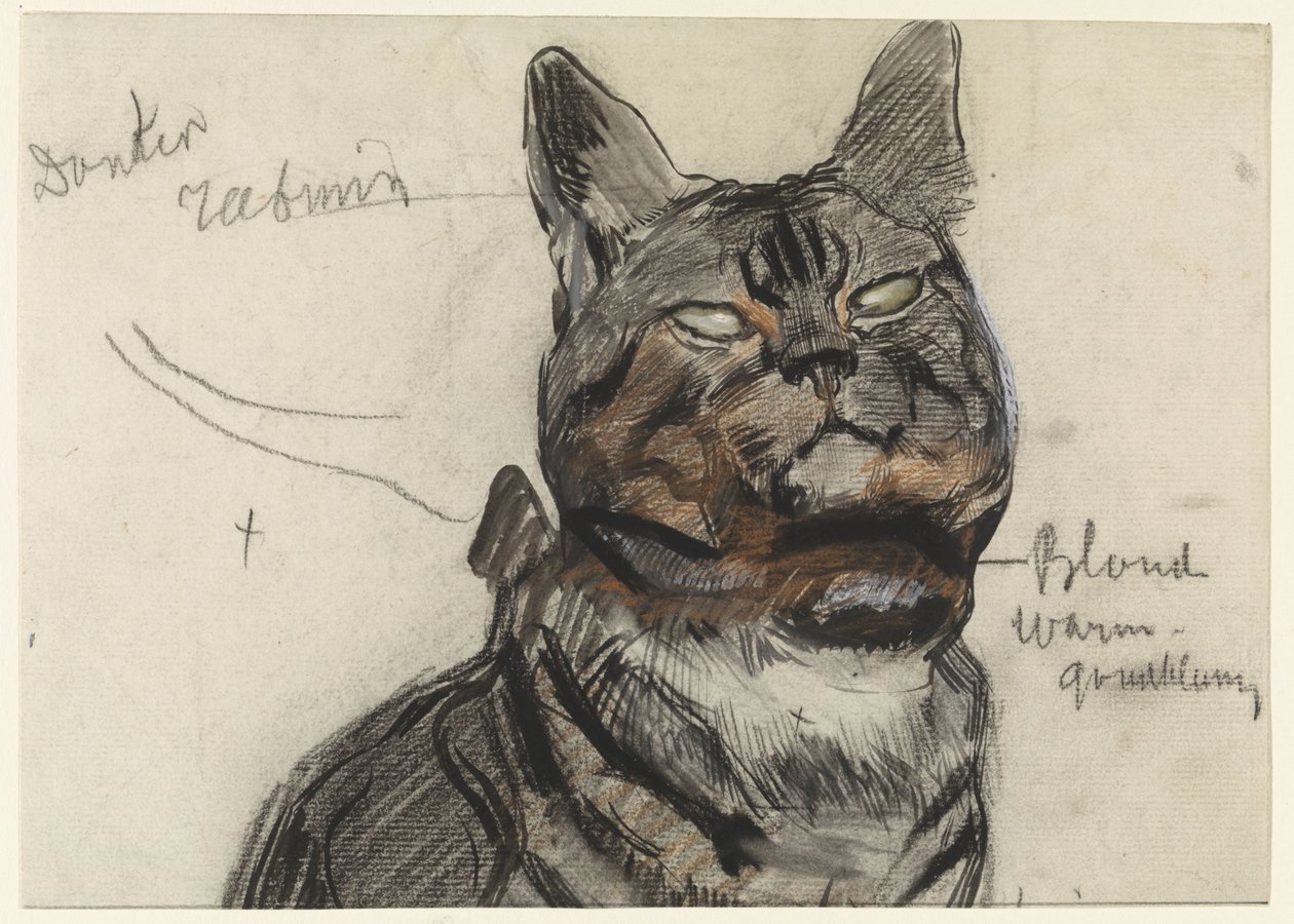 Gatto, con annotazioni di colore da Jan van Essen