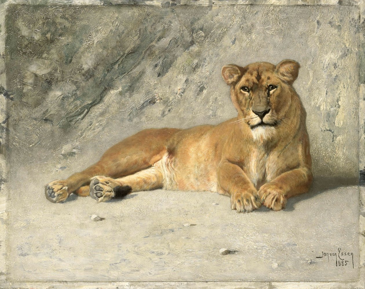 Leonessa a Riposo da Jan van Essen