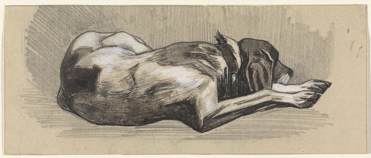 Cane dormiente, verso destra da Jan van Essen