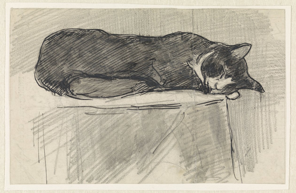 Gatto che dorme da Jan van Essen