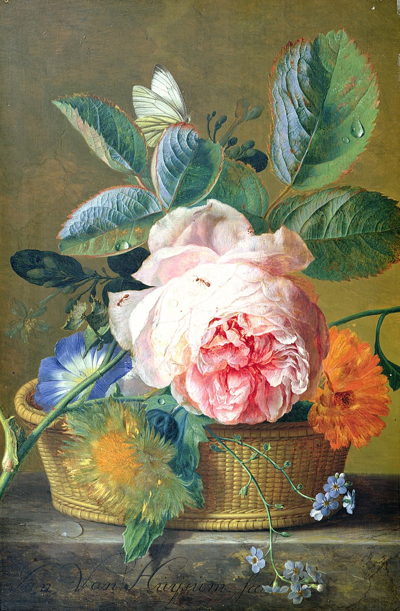 Un cesto con fiori, 1740-45 da Jan van Huysum