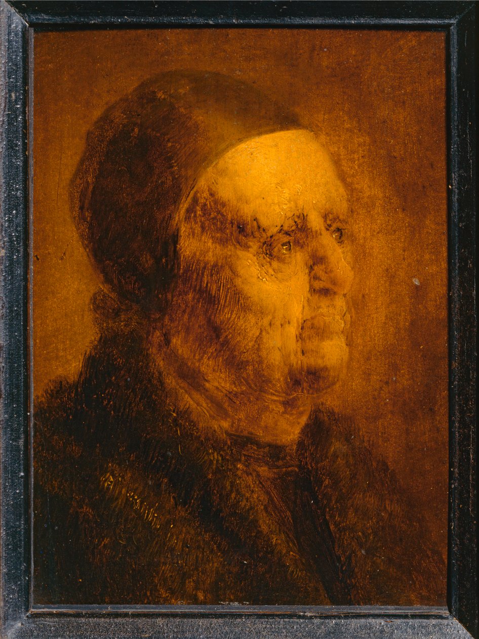 Testa di studio del vecchio ... da Jan van de Venne