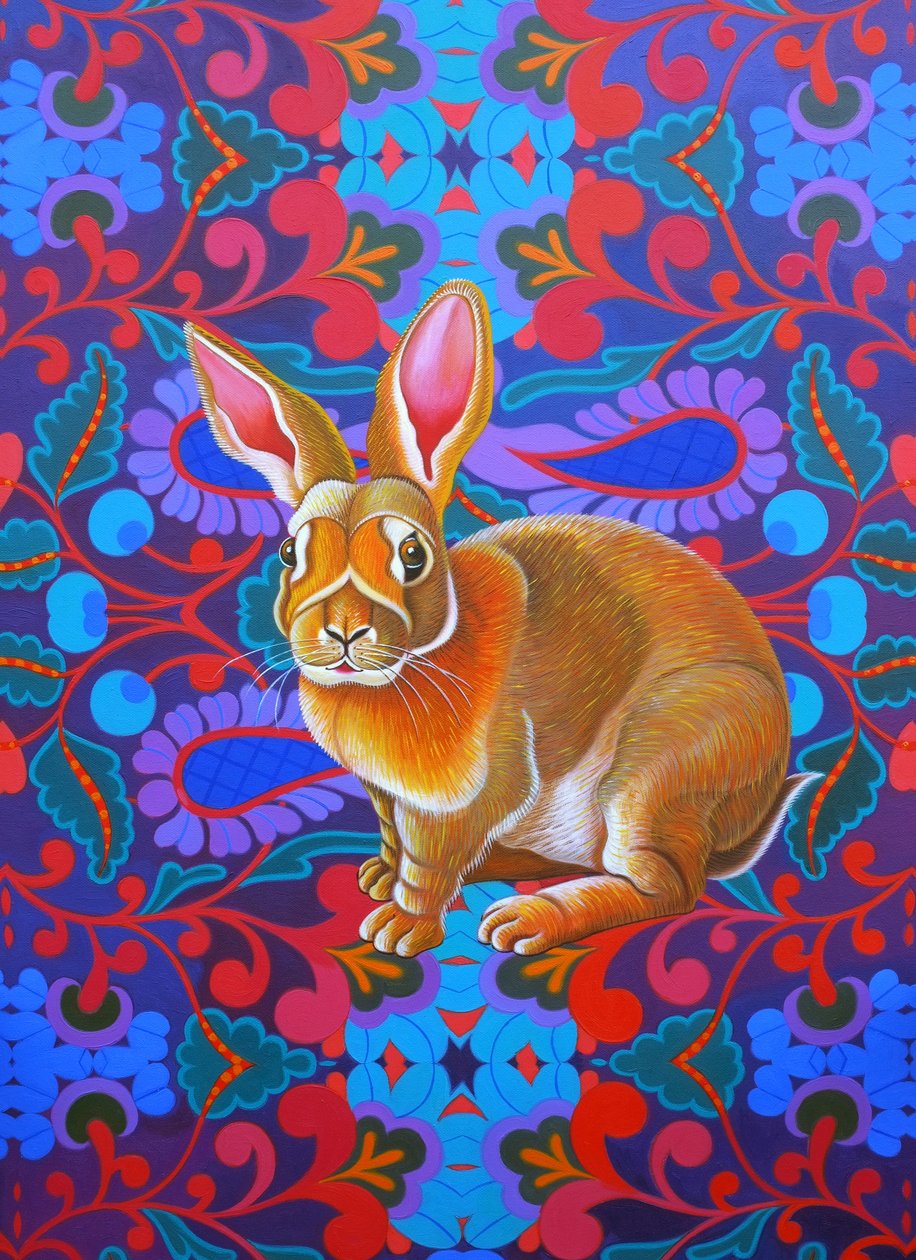 Coniglio, 2014 da Jane Tattersfield