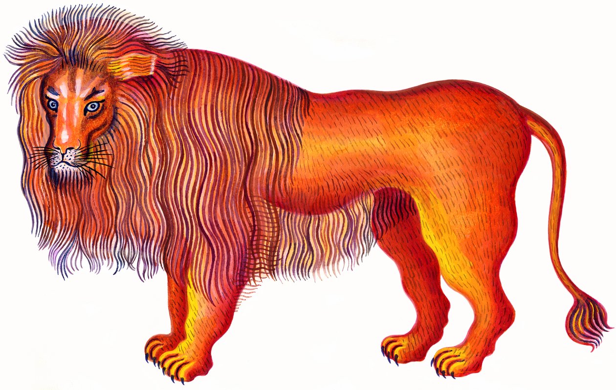Leone da Jane Tattersfield