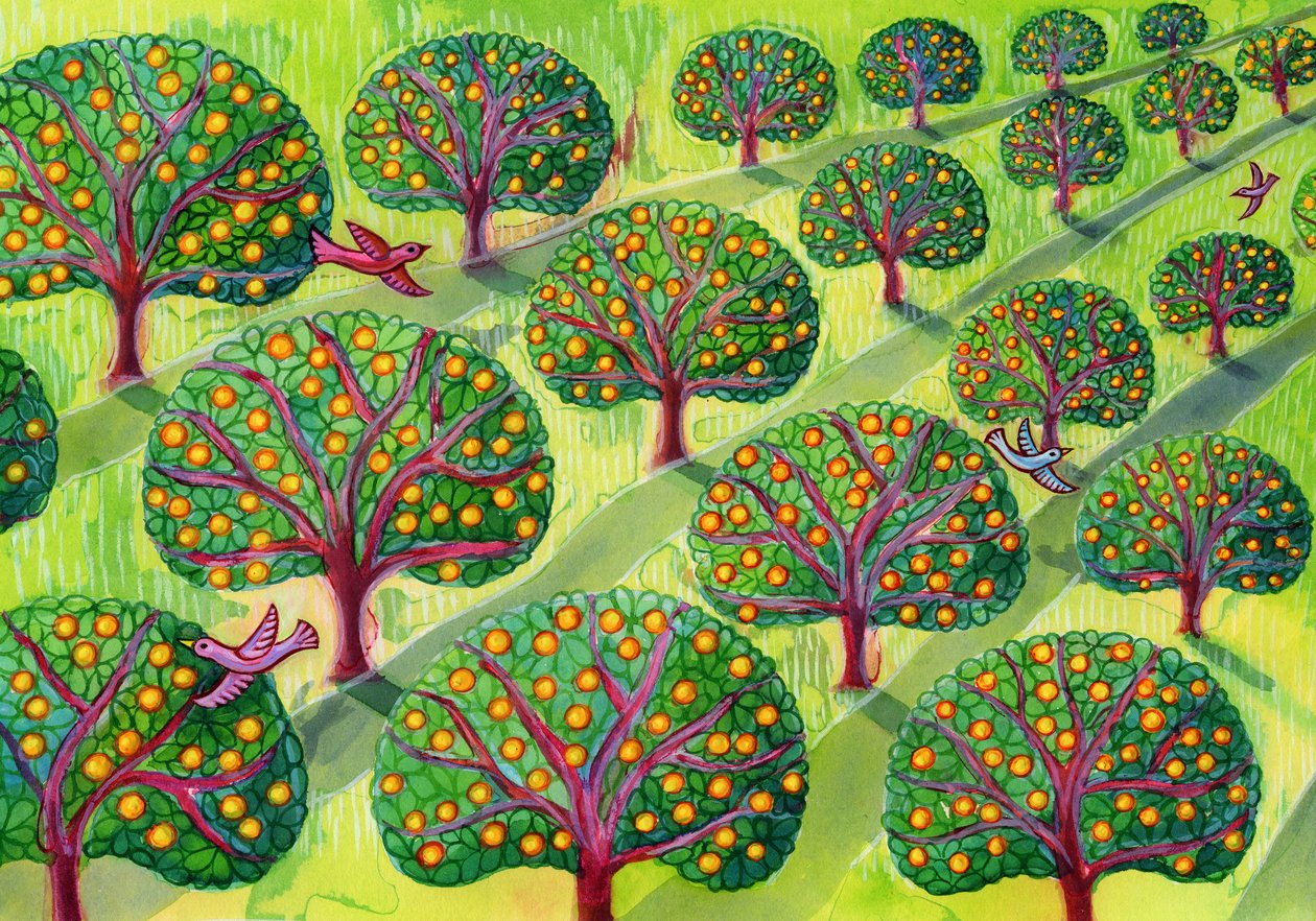 Frutteto da Jane Tattersfield
