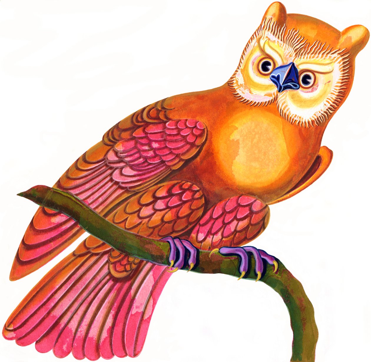 Gufo da Jane Tattersfield