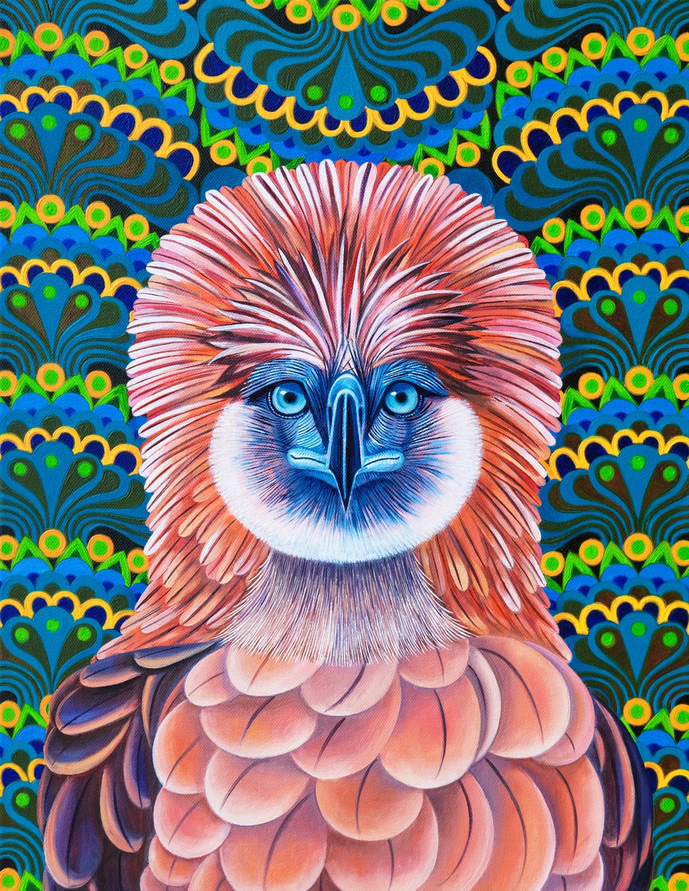 Aquila delle Filippine, 2020 da Jane Tattersfield