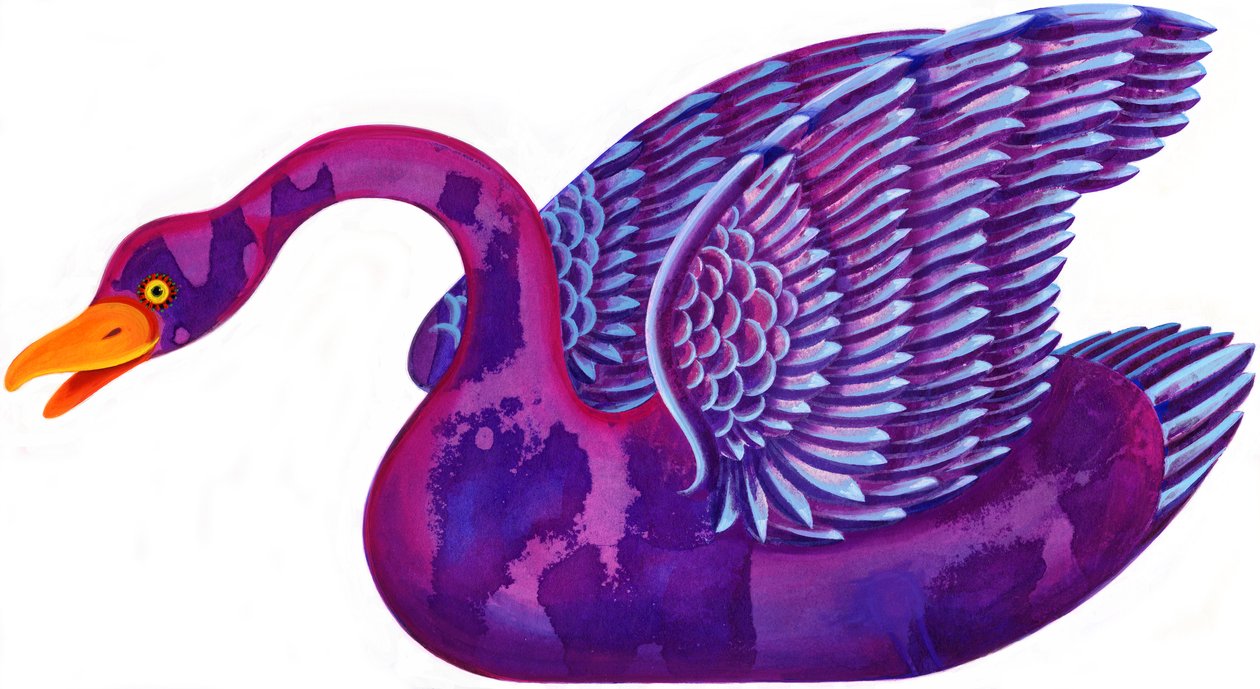 Cigno da Jane Tattersfield