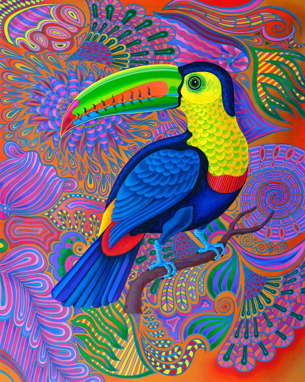 Tucano da Jane Tattersfield