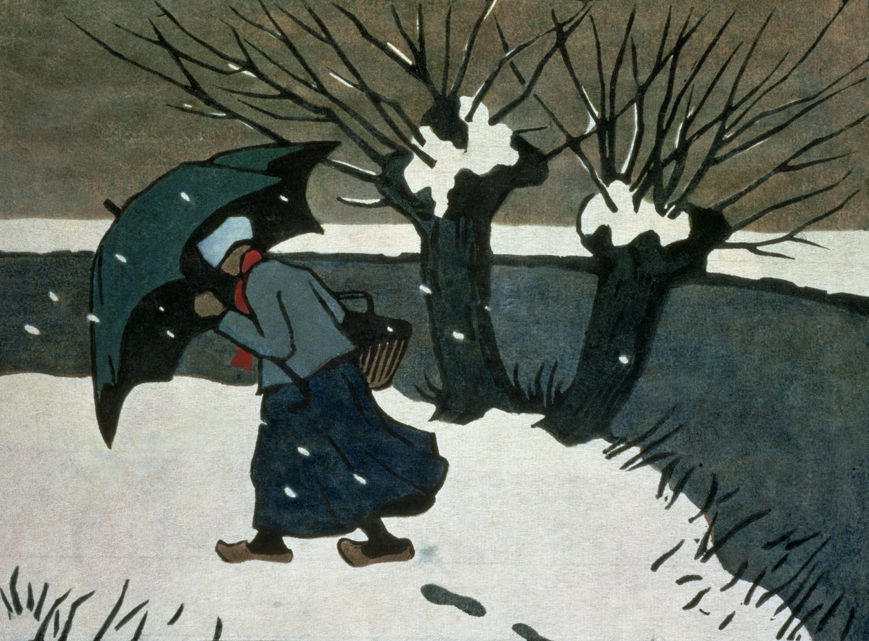 La tempesta di neve da Janet Fisher