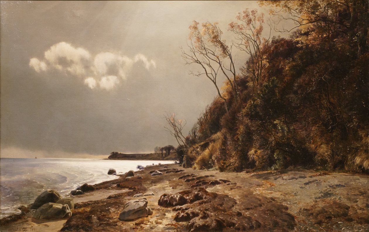 Spiaggia di Moesgård da Janus La Cour