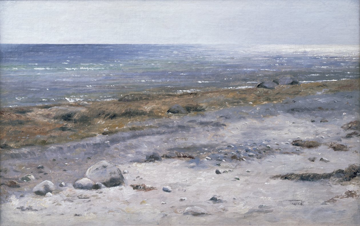 La spiaggia, Mols da Janus La Cour