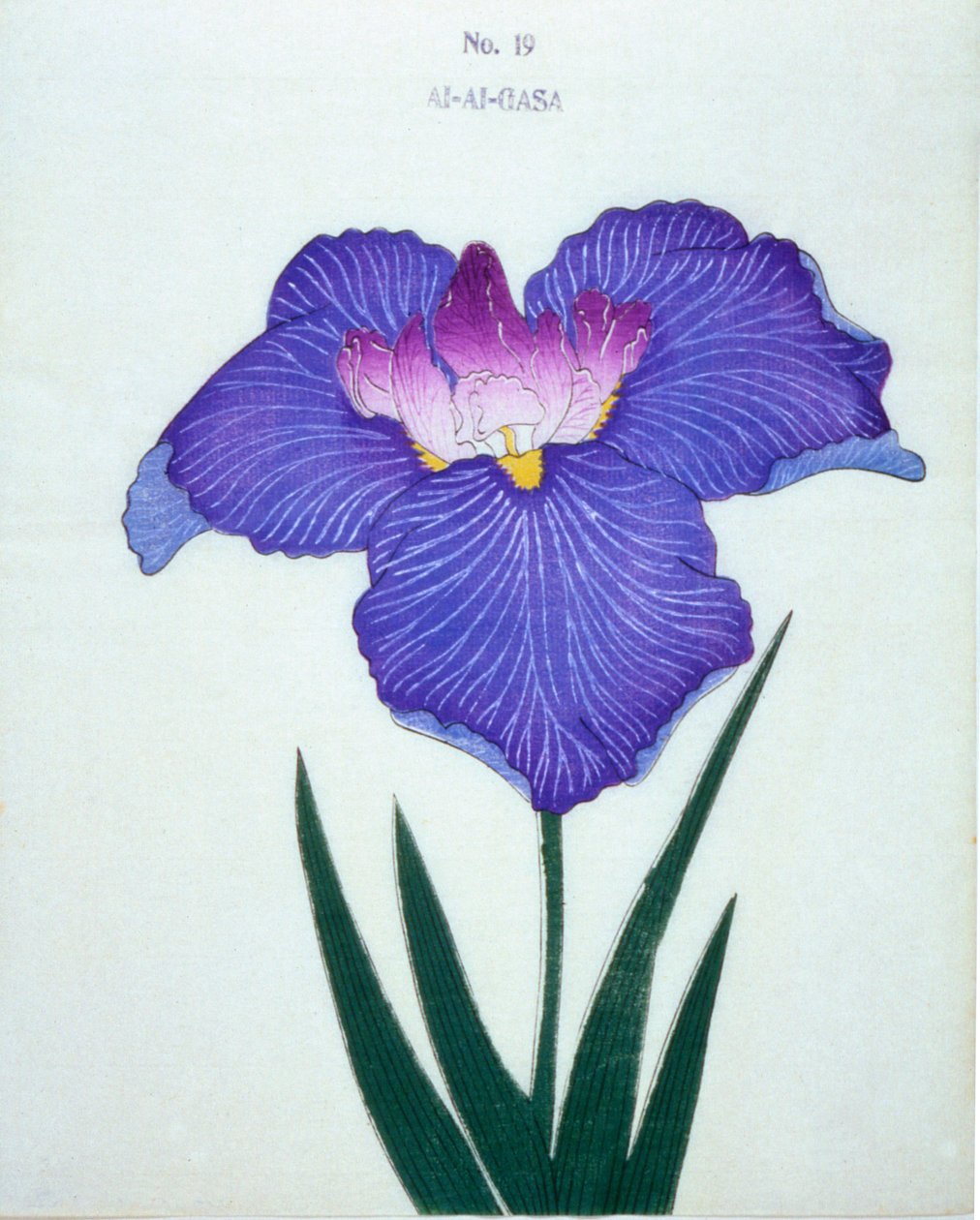 Al-Al-Gasa, n.19, 1898 da Japanese School