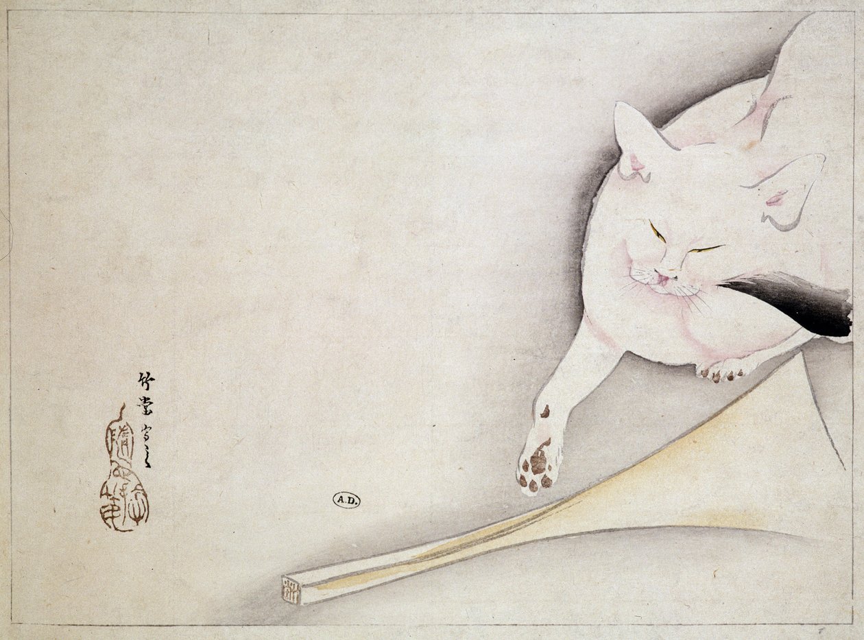 Gatto (disegno giapponese) da Japanese School