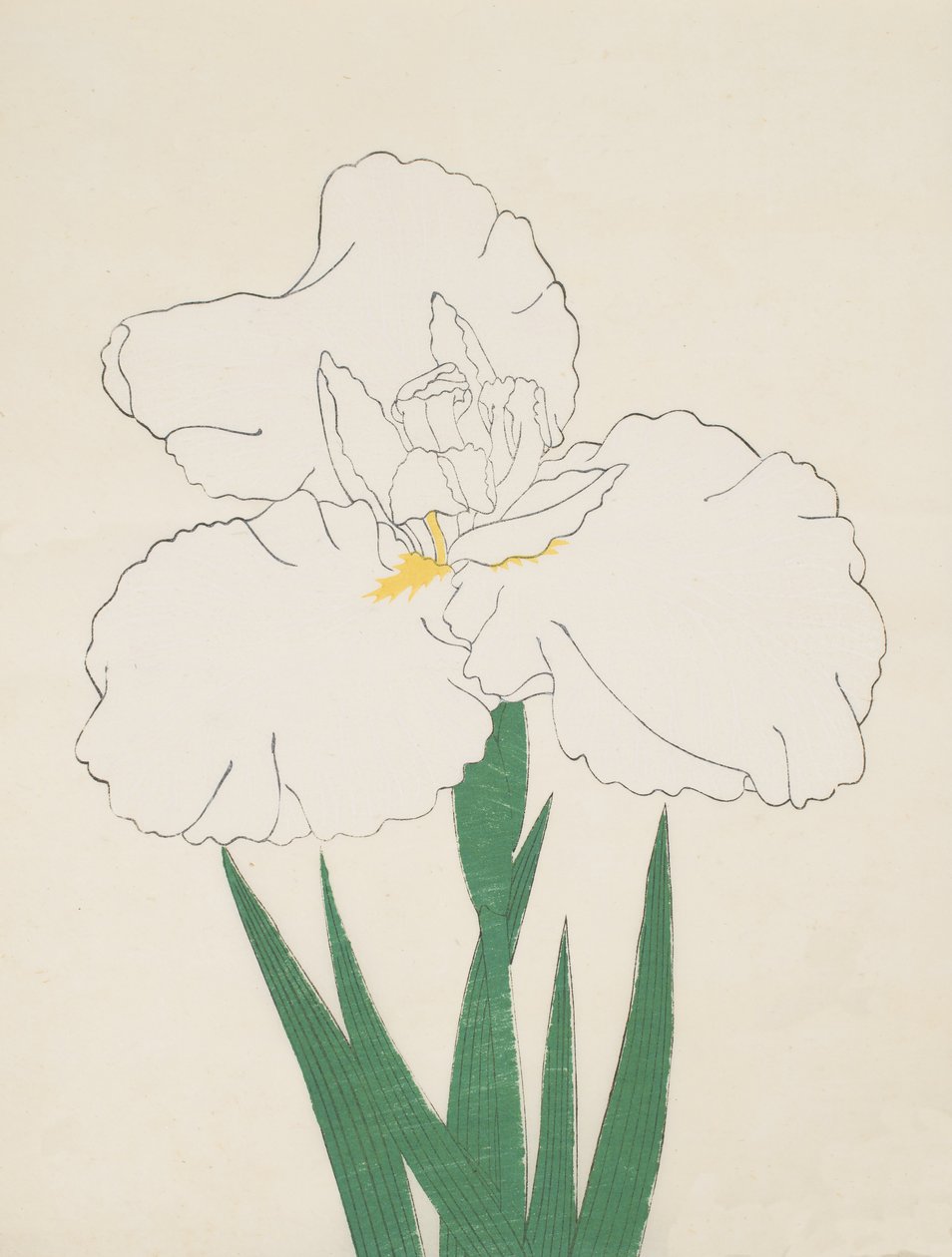 Fuji-No-Yuki, n. 13, 1890 da Japanese School