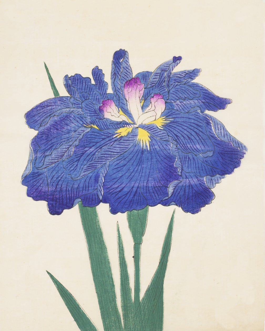 Karako-Asobi, n.42, 1898 da Japanese School