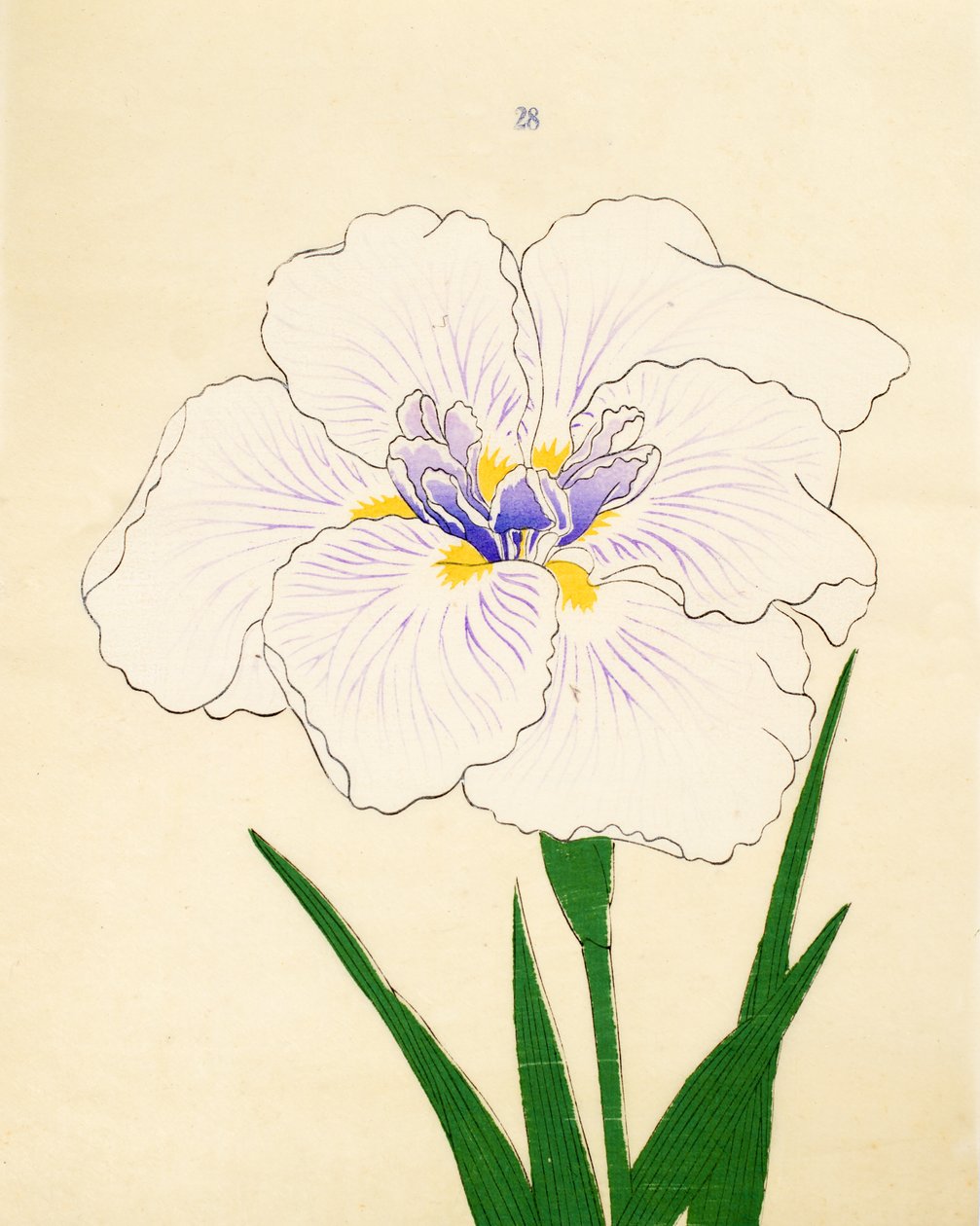 Manu-Zuru, n. 28, 1890 da Japanese School