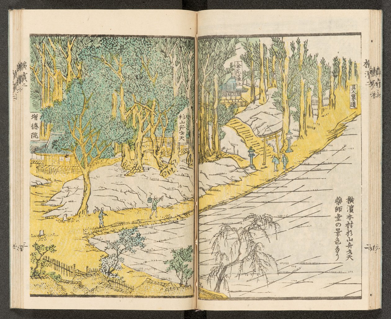 Vedute di Yokohama da Japanese School