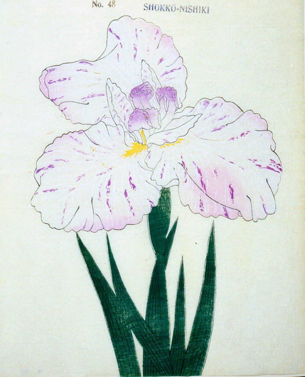 Shokko-Nishiki, n.48, 1898 da Japanese School