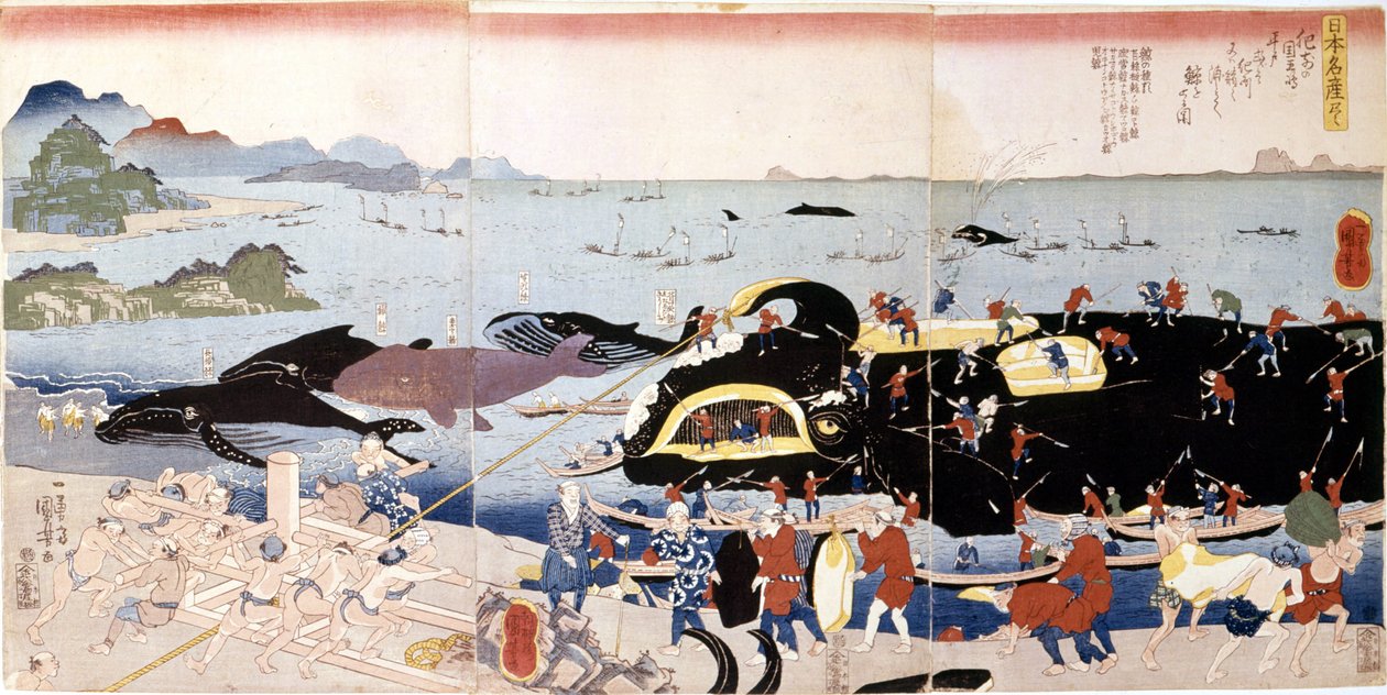 Pesca alla balena in Giappone da Japanese School