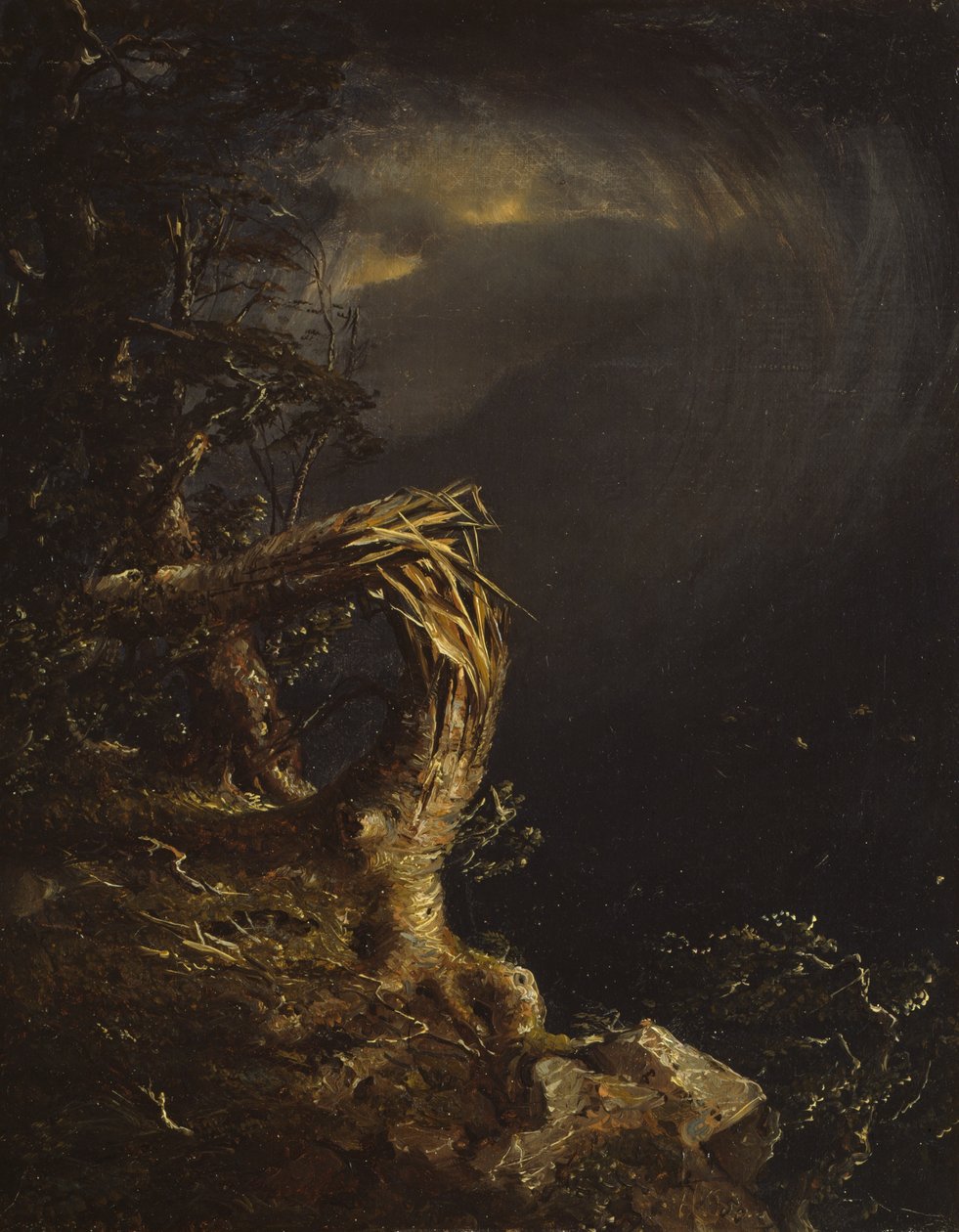 Albero Devastato da Jasper Francis Cropsey