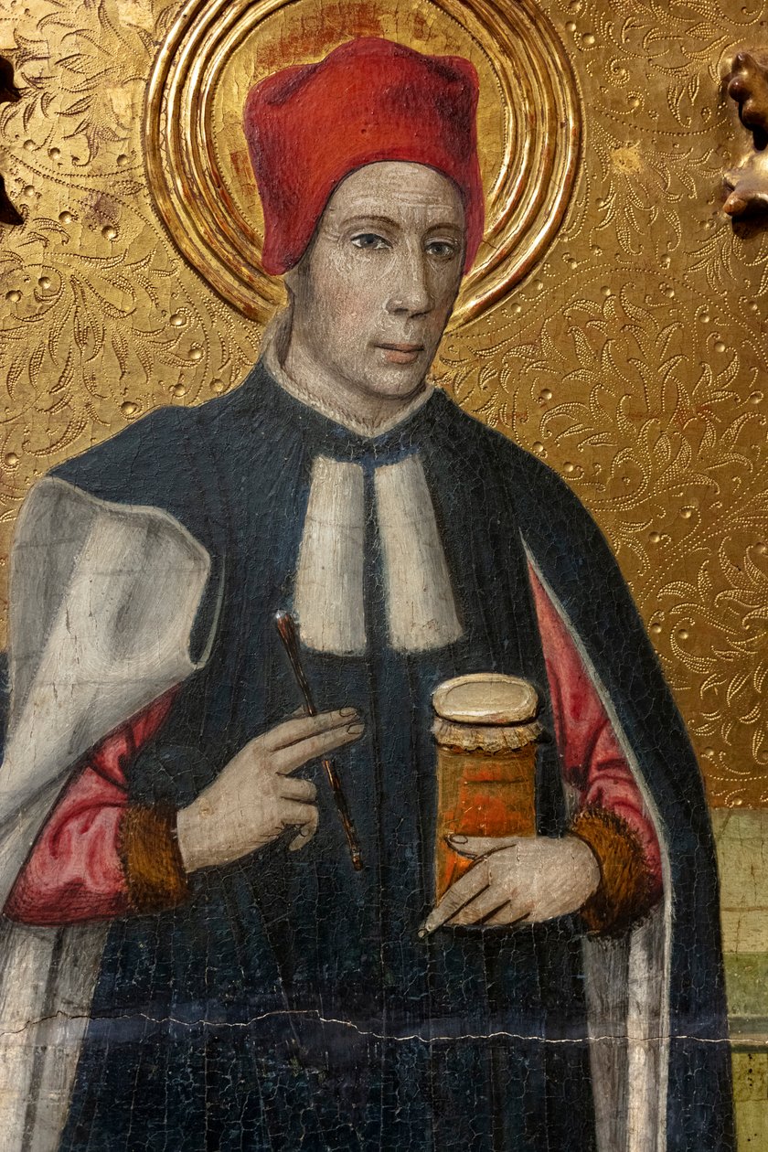 Pala d