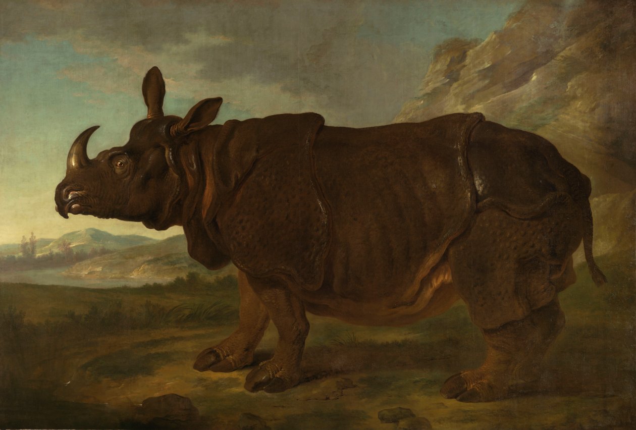 Clara il rinoceronte a Parigi nel 1749 da Jean Baptiste Oudry