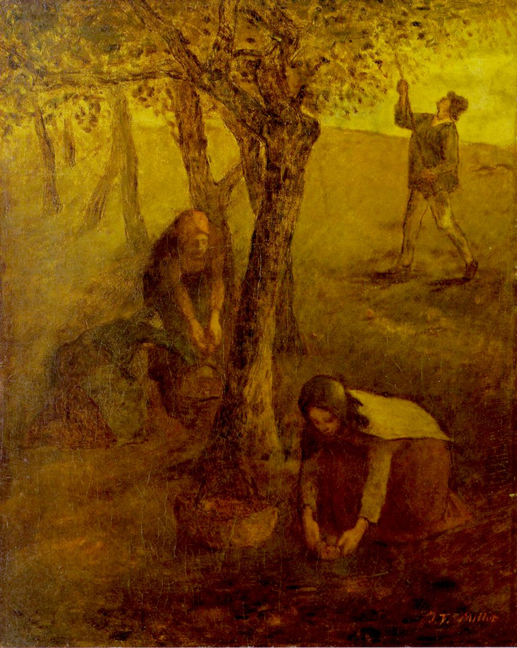 Raccolta di mele da Jean Francois I Millet