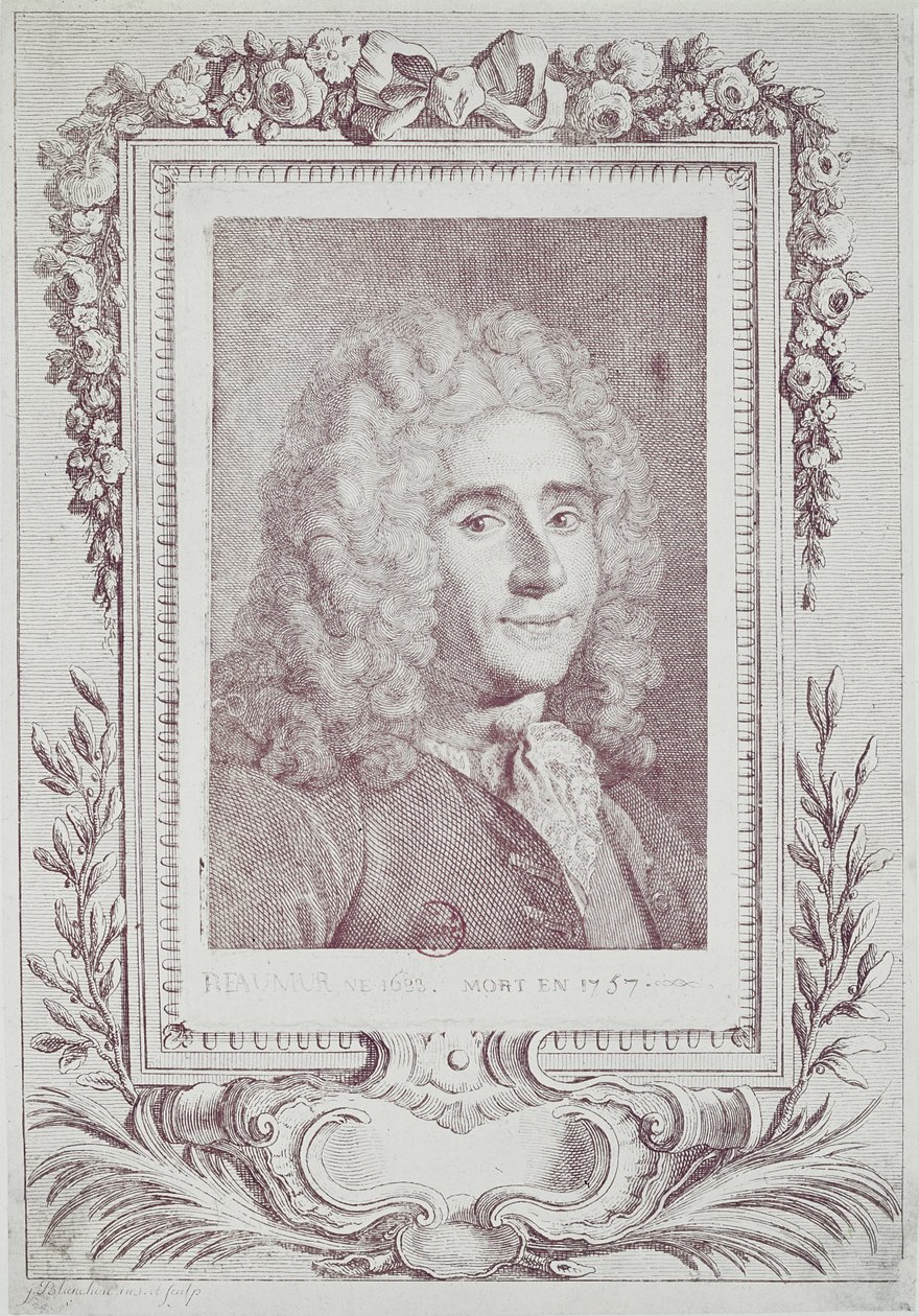 Rene Antoine Ferchault de Reaumur (1683-1757) da Jean Guillaume Blanchon
