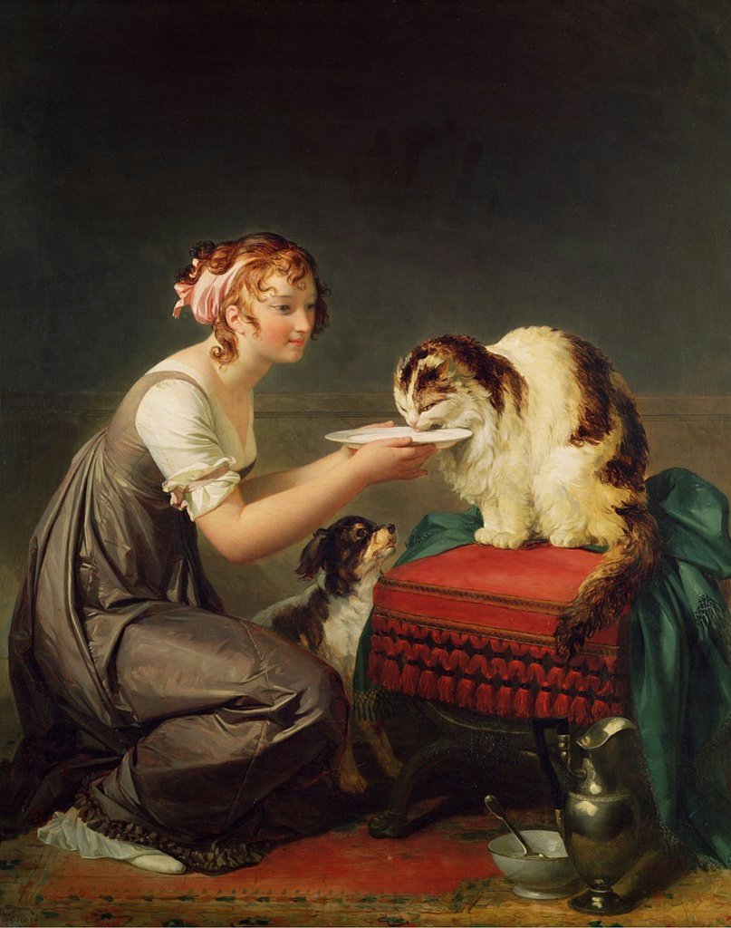 Il pranzo del gatto da Jean Honore Fragonard