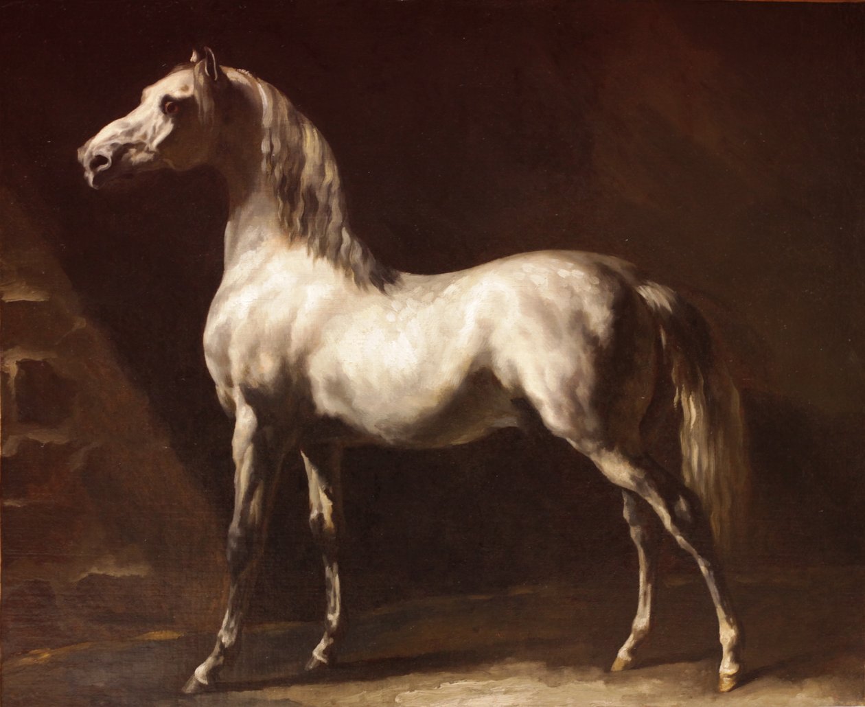 Cavallo arabo grigio-bianco da Theodore Gericault