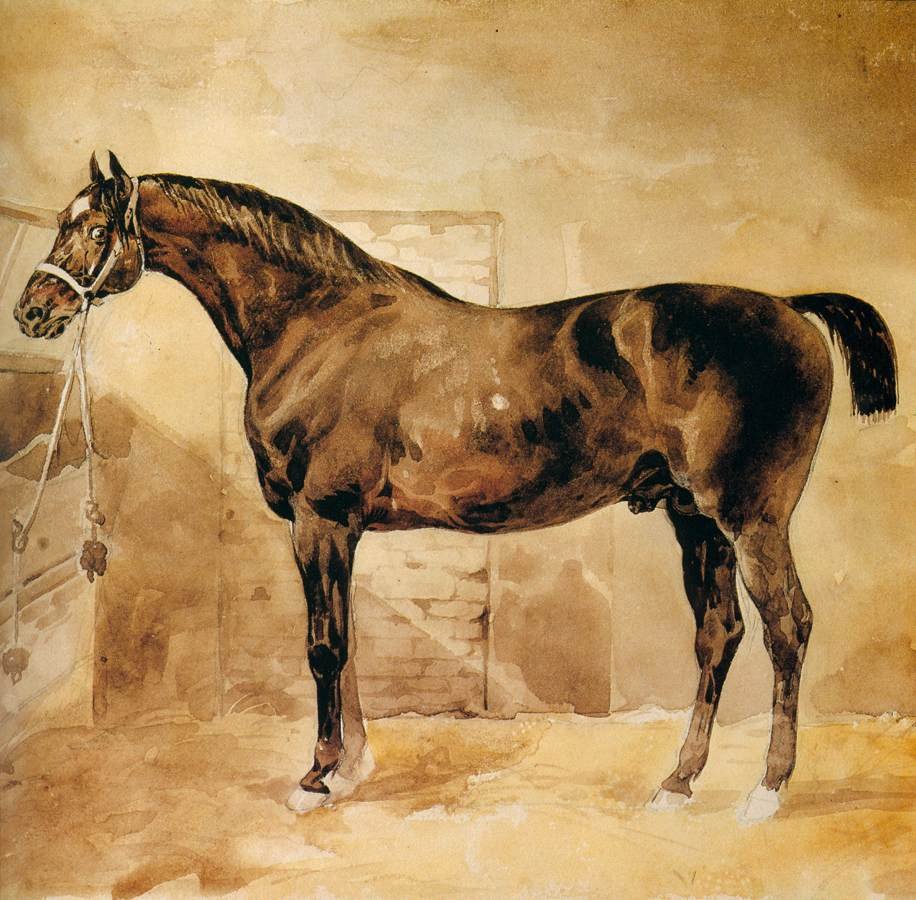 Cavallo inglese nella stalla da Theodore Gericault