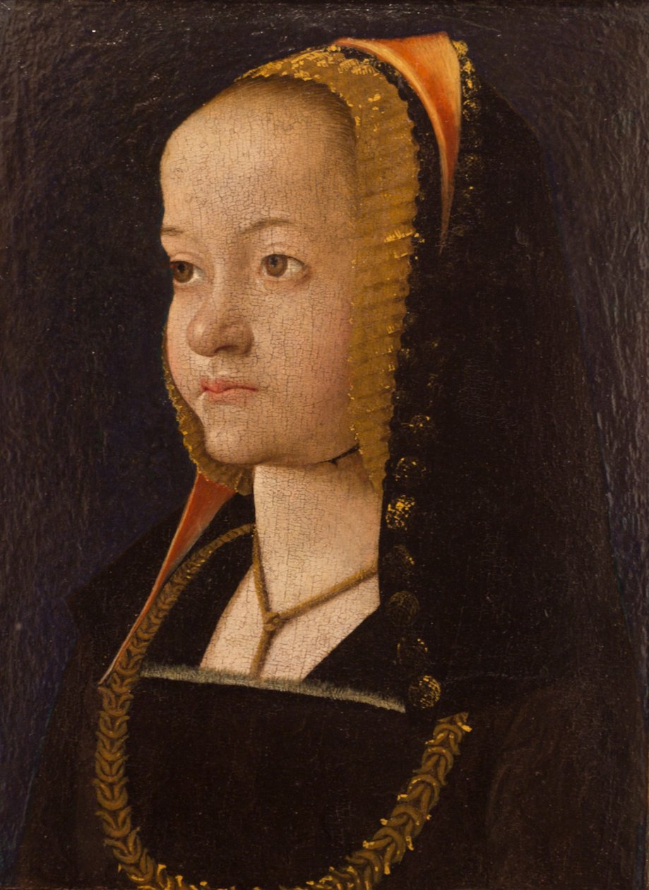 Ritratto di donna da Jean Perreal