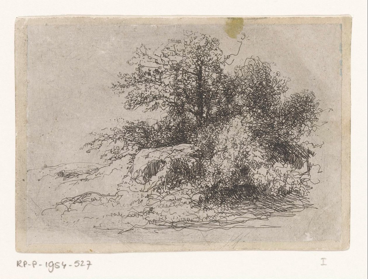 Cespuglio da Jean Alexis Achard