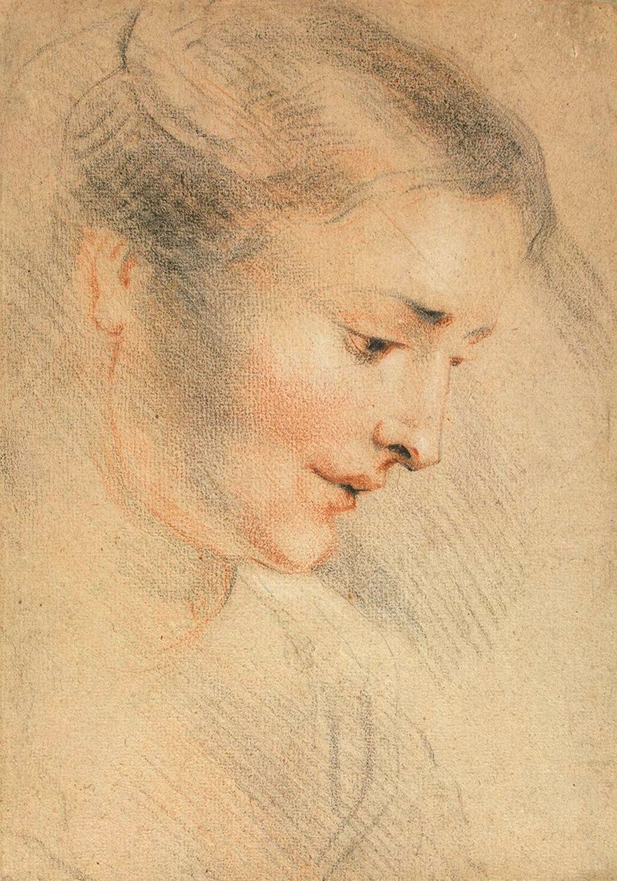 Studio della testa di una donna da Jean Antoine Watteau