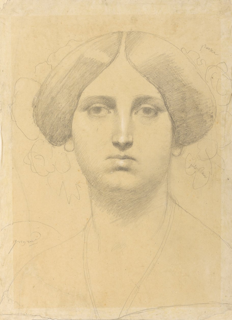 Signora Moitessier da Jean Auguste Dominique Ingres